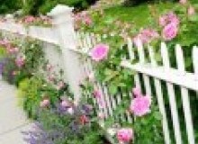 Kwikfynd Garden fencing
mounttully
